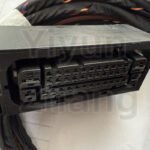 For BMW X5X6X7/G05G06G07 upgrade original air suspension special cable/code: 2VR - Image 5